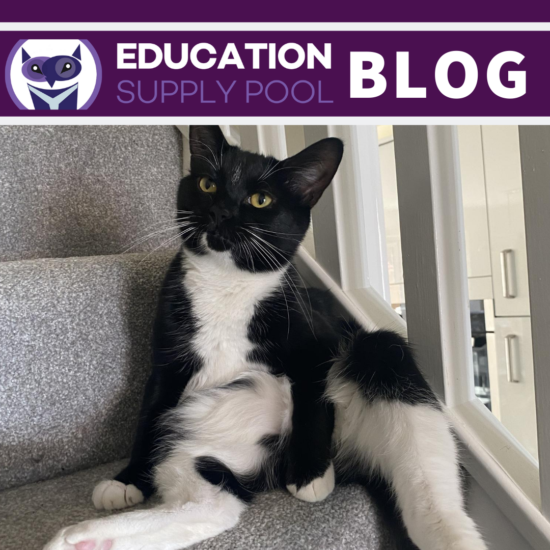 Catch up with; Claire